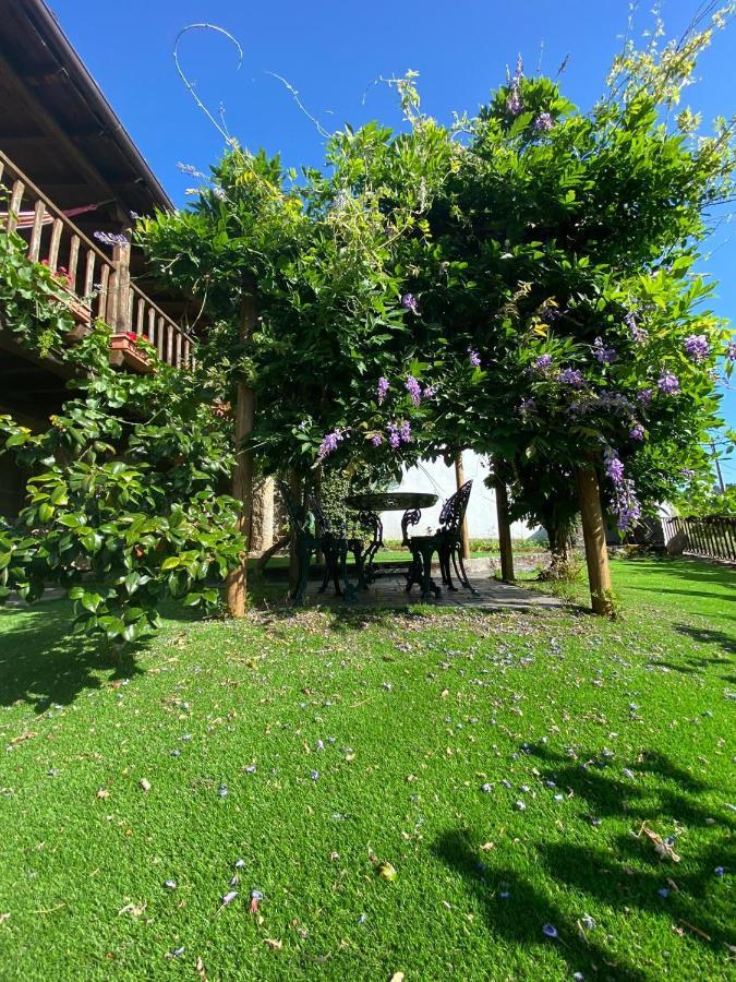 Гостевой дом Casa Do Pomar Браганса Экстерьер фото